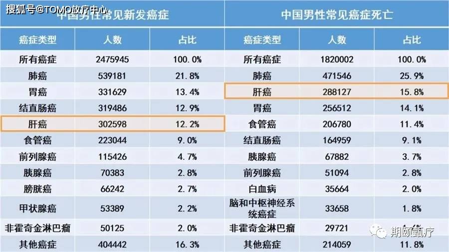 2020年中国人口死亡数量_2020年中国人口结构图