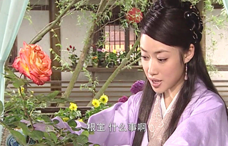 《连城诀》中高蓓蓓扮演凌霜华,是荆州知府千金,在一次赏花大会中,她