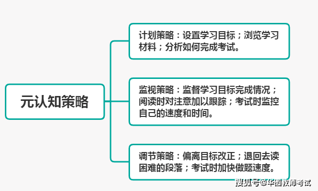 【教师资格笔试】小学科目二丨学习策略