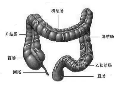 肛门癌都有哪些症状?