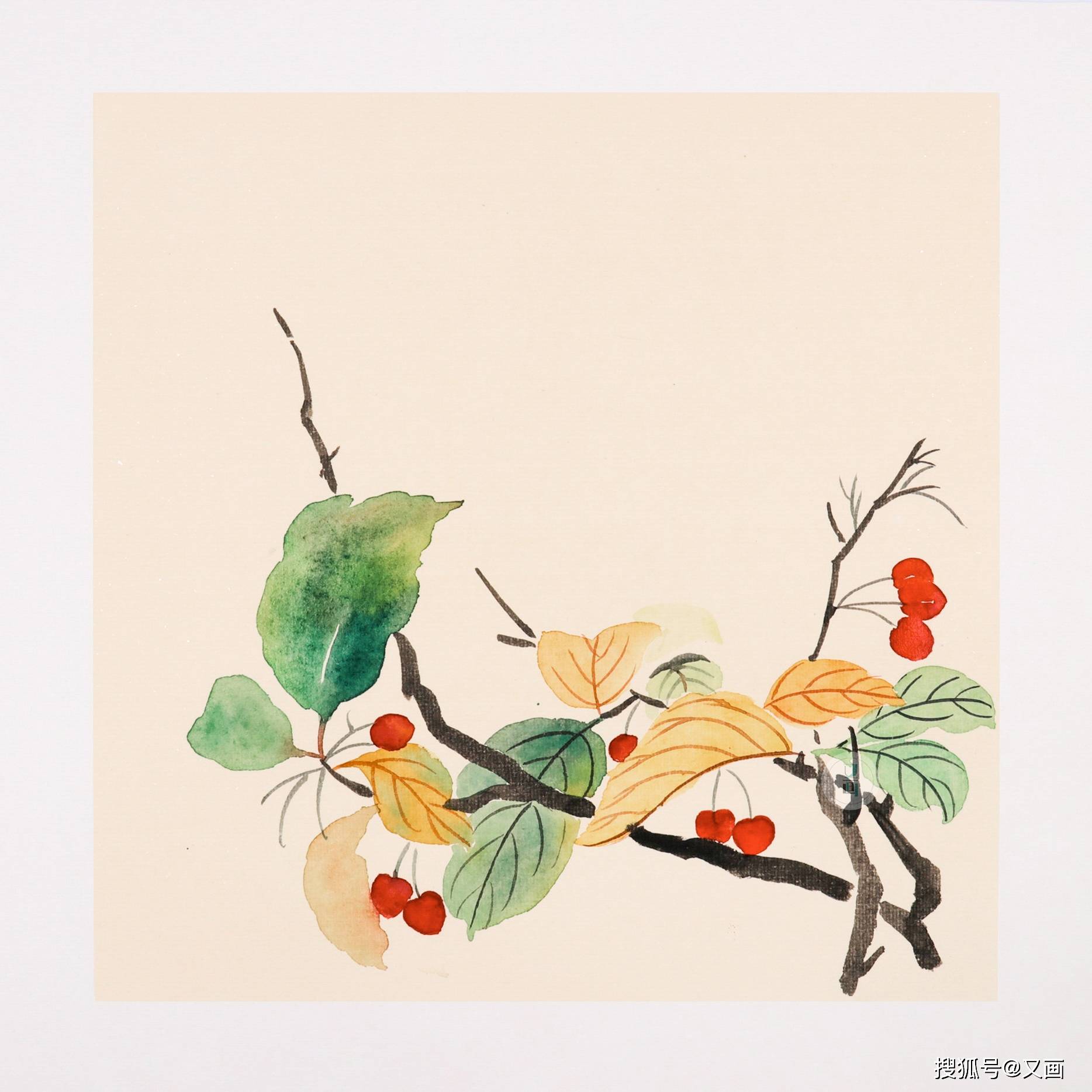 国画 没骨花卉秋海棠的绘画步骤分享