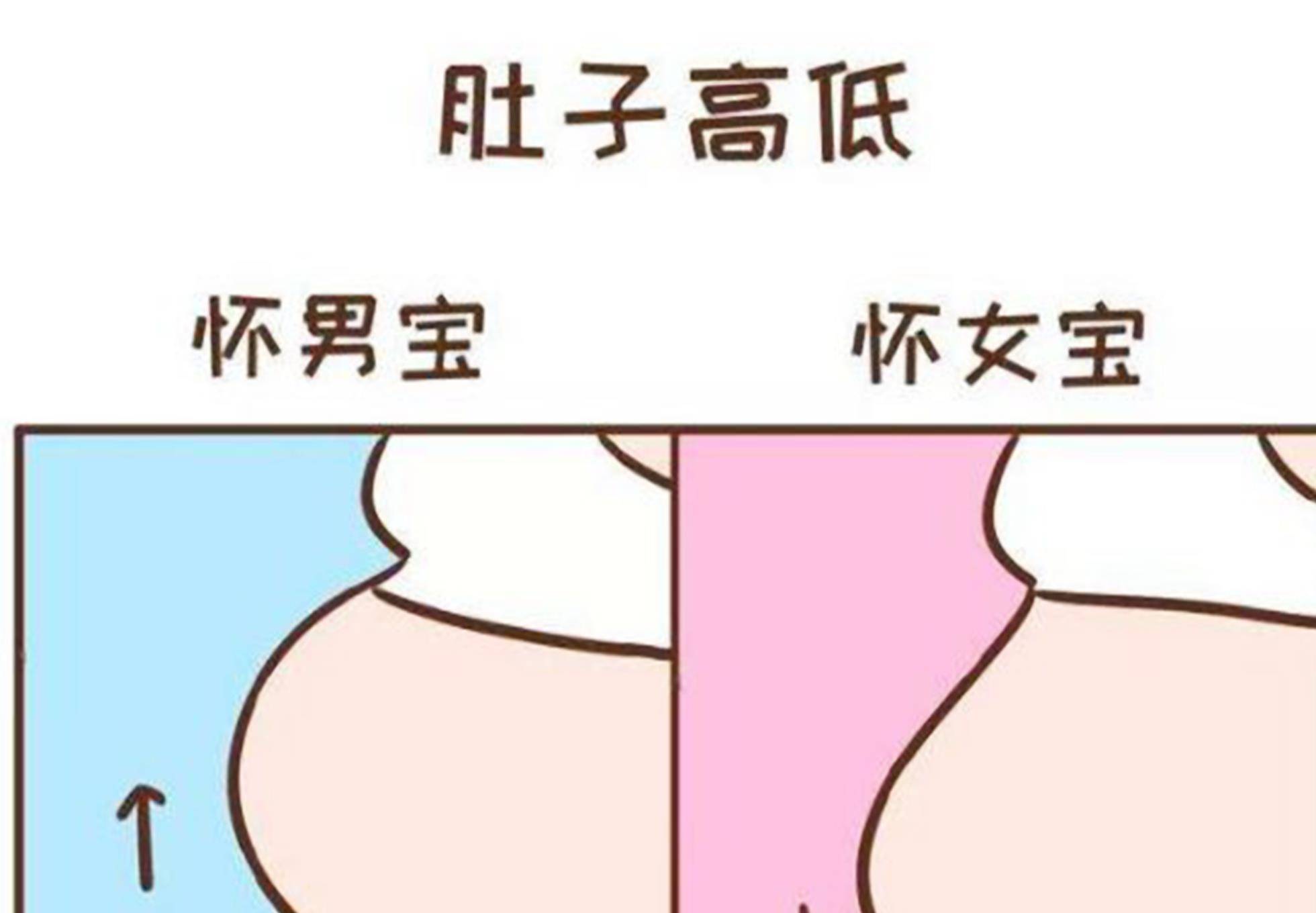 上怀和下怀有啥区别?婆婆一句俗语点破本质:上怀吐,下怀尿