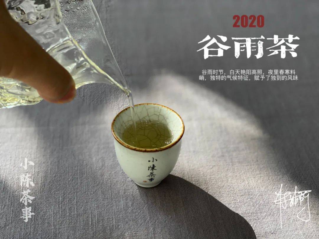 本是寿眉的身,却生出了白牡丹的风姿,谷雨茶在暮春时节翩翩而来