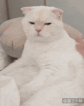 280_352竖版 竖屏gif 动态图 动图