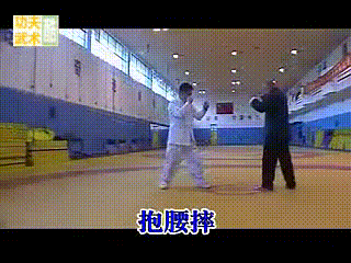 金水门散手(4),实战摔法反击招式,尽显传武摔打结合之