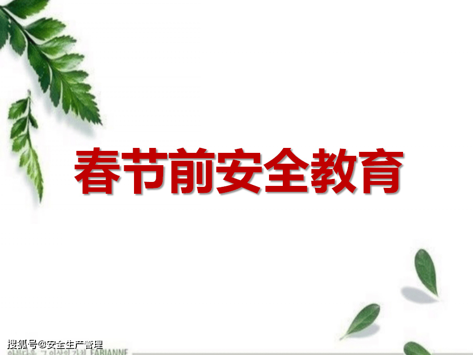 春节前安全教育42页