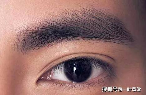 眉毛面相学