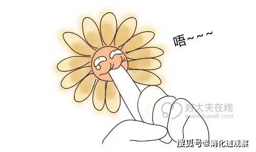 世界上你不再是进出我的菊花的唯一…… 医生的结论是"哨兵痔 肛裂"