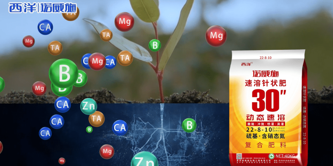 西洋|诺威施速溶针状肥采用高端水溶性原料,作物主动吸收,高效吸收