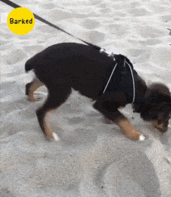 搞笑gif图段子:确认过身材,是这辈子都追赶不上的人