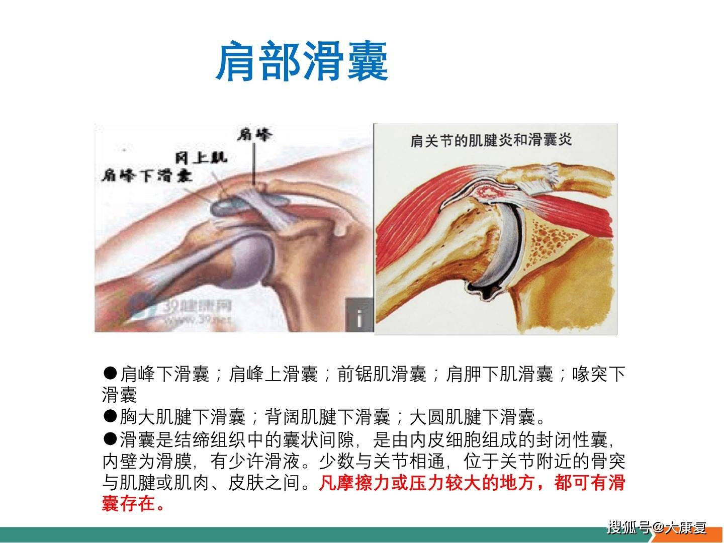 肩关节软组织压痛点的解剖与临床