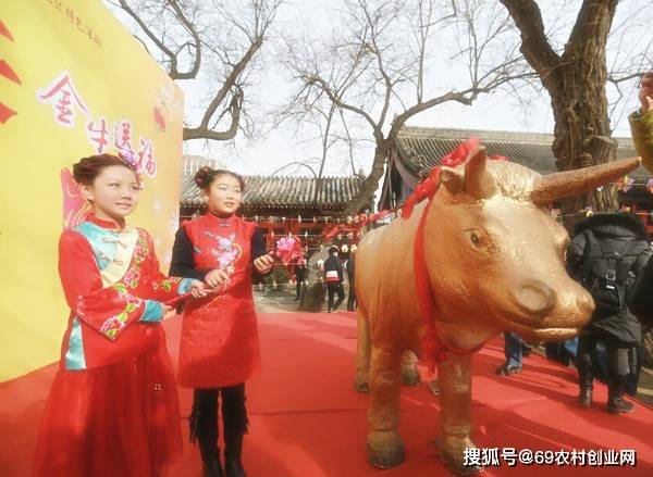 2021,牛年,关于牛的中国传统节庆文化