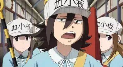 尽管该片风格趋向于趣味科普,但战斗过程中难免有