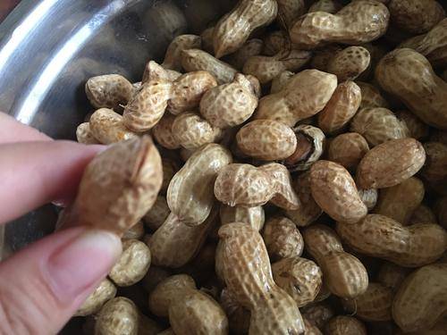 最新研究发现:每天吃几粒花生让血管更健康!可每天具体吃多少?
