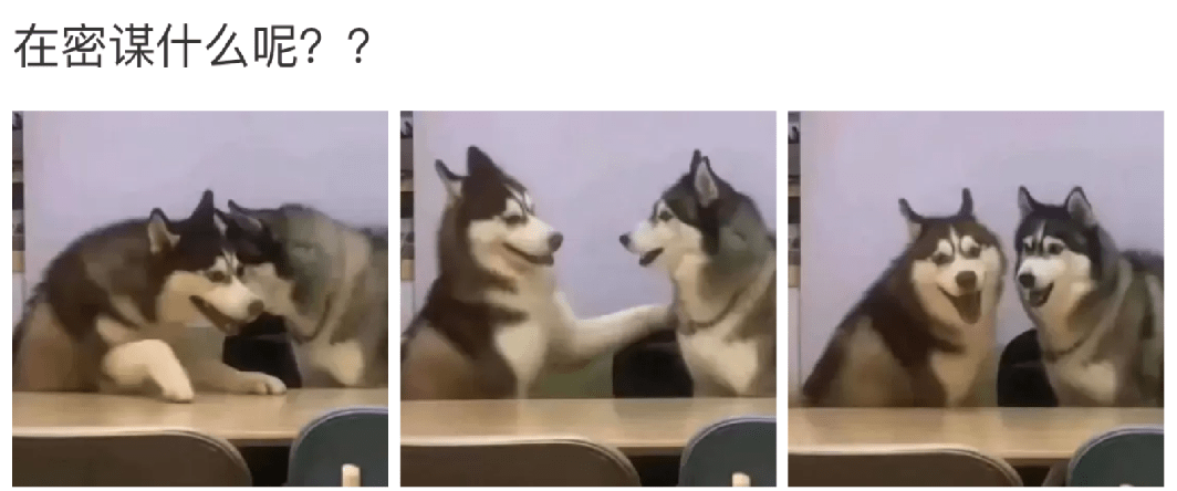 年轻人一定要见多识广,否则你都不知道你以后的对象是干什么的.