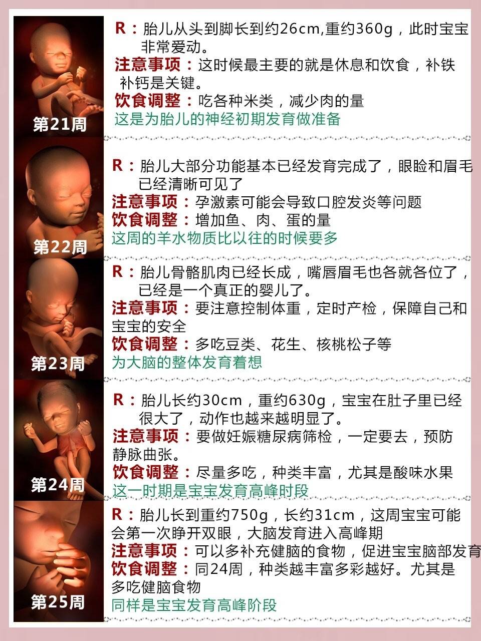 140周胎儿发育过程及注意事项超详细