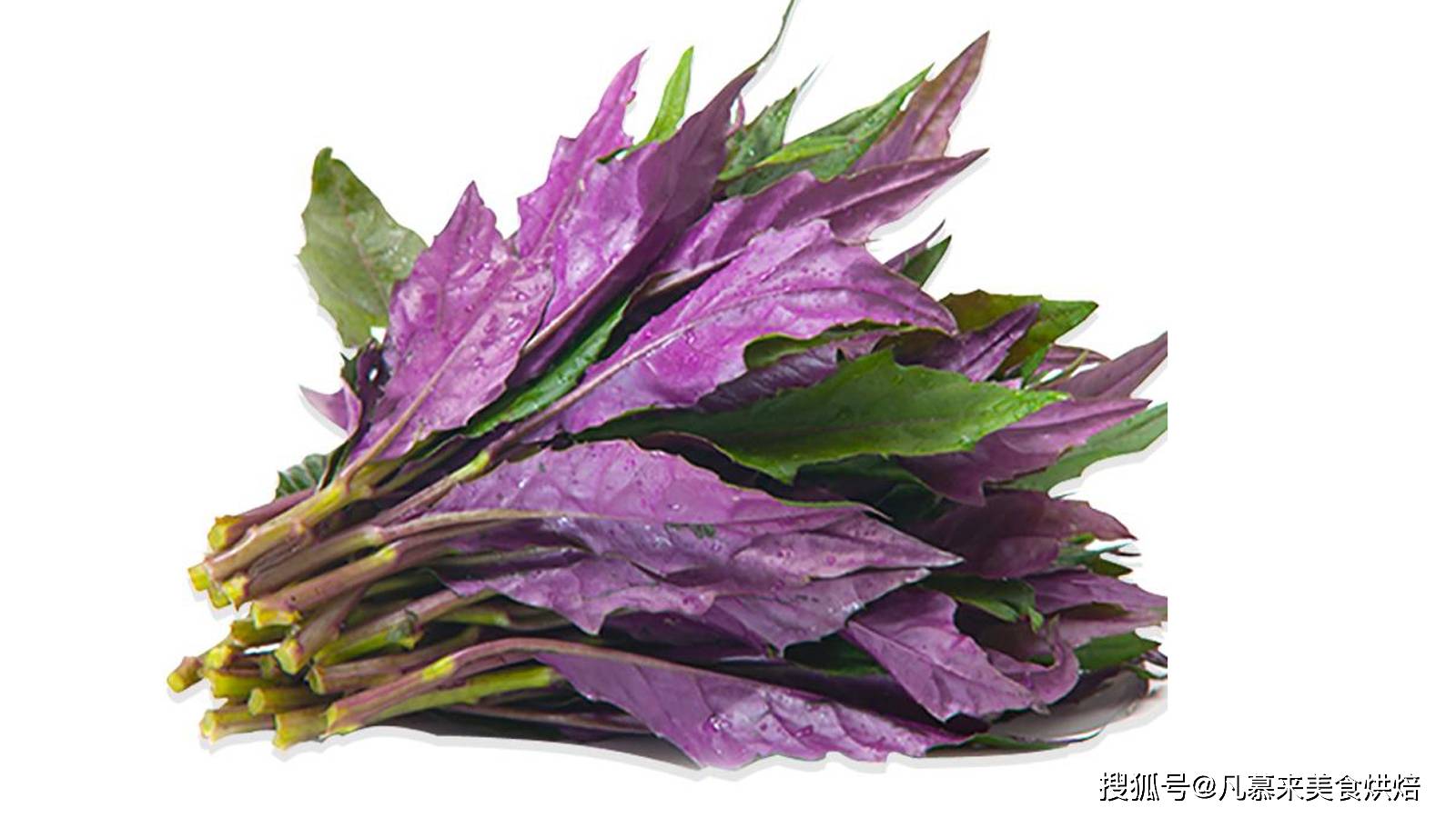 还不知道这35种紫色蔬菜你太亏了富含花青素营养又美味