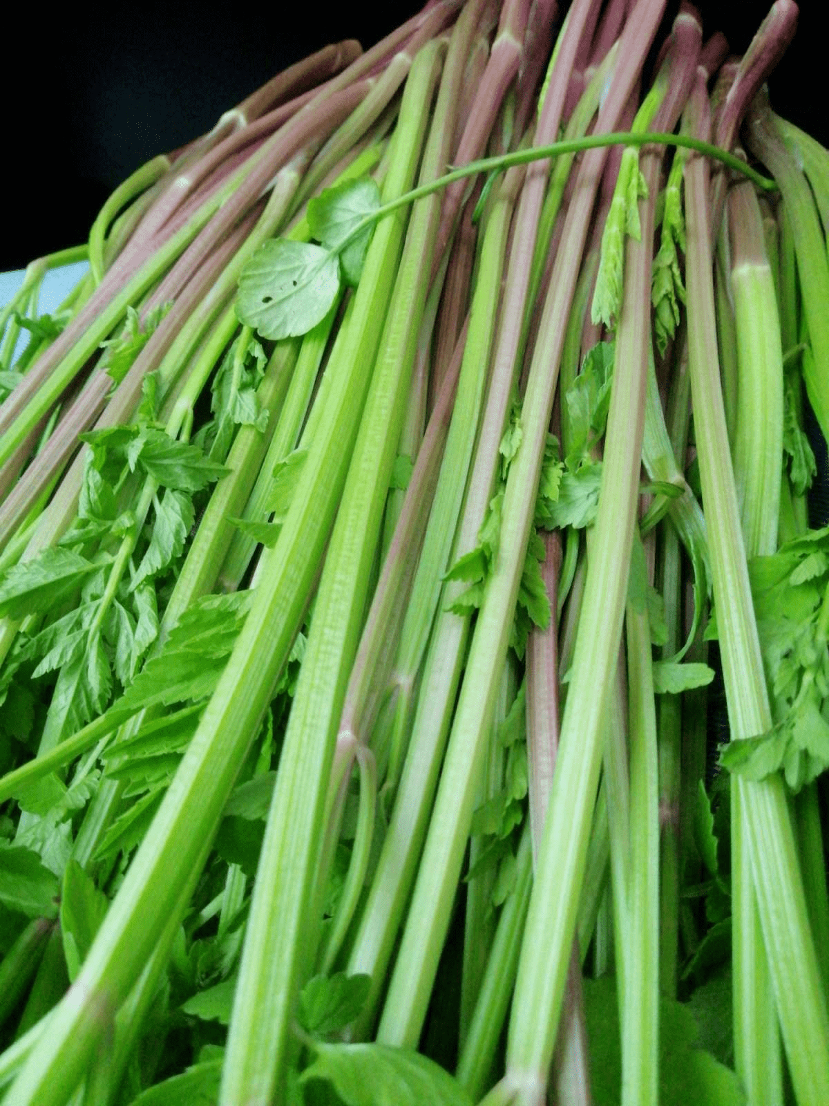 芹菜有粗有细,到底选哪种,记住3要点就行