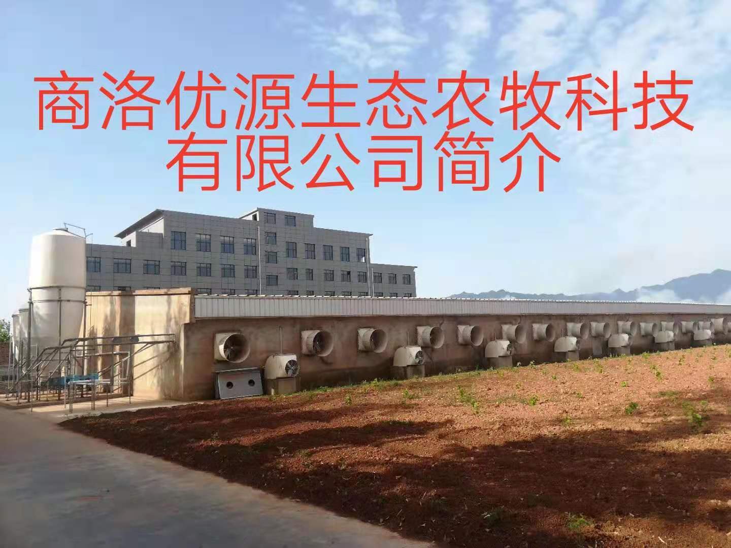 不惧艰辛开拓未来商洛优源生态农牧科技有限公司