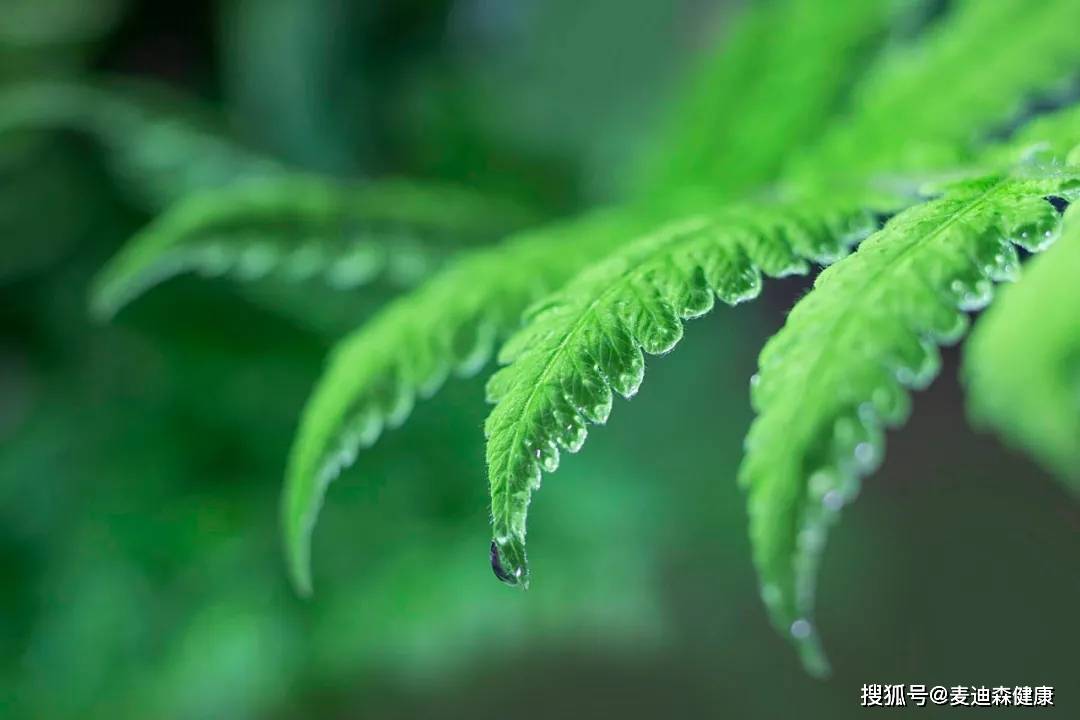 原创麦迪森健康:春节用眼过度怎么办?这样做,让眼睛过好年