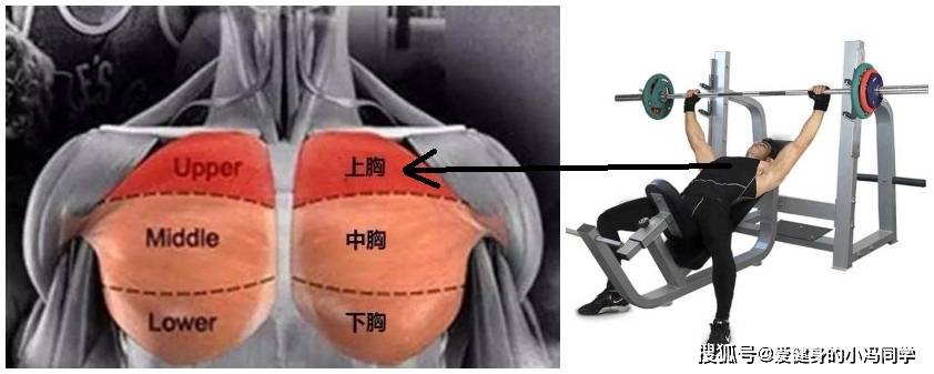 胸肌训练计划丨三个杠铃练胸的动作,帮助健身新手练出