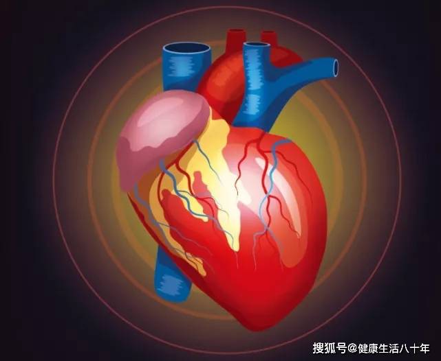 如此强大而繁忙的心脏,却也十分脆弱,易受到损伤,危害生命.
