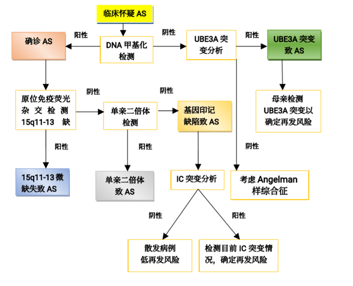 国际天使综合征日关注罕见病angelman综合征