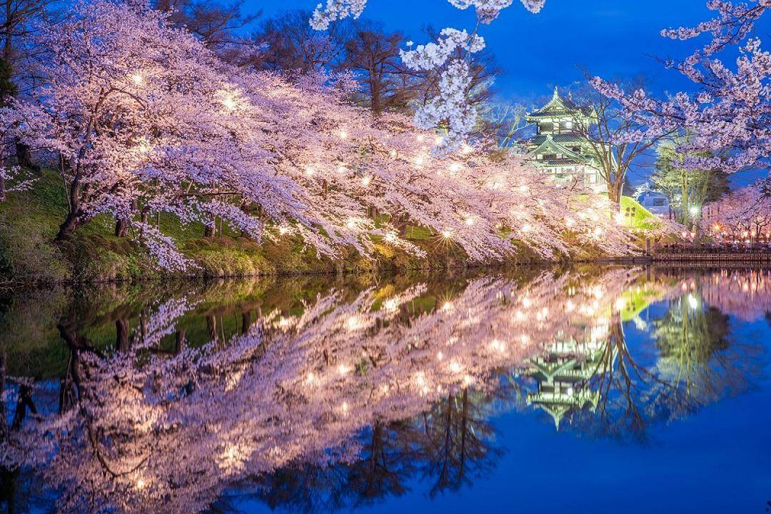 日本这个地方,都是美女贼拉好看,还有美景,美食贼拉诱人