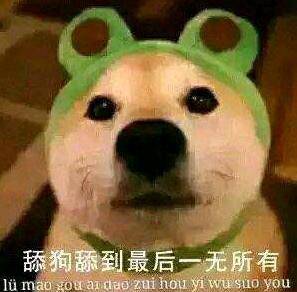 udp一种舔狗专用的协议