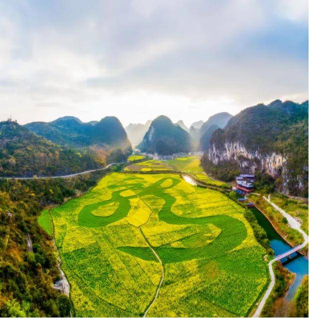 "贵州油菜花打卡指南"出炉!抓紧时间奔赴花海吧