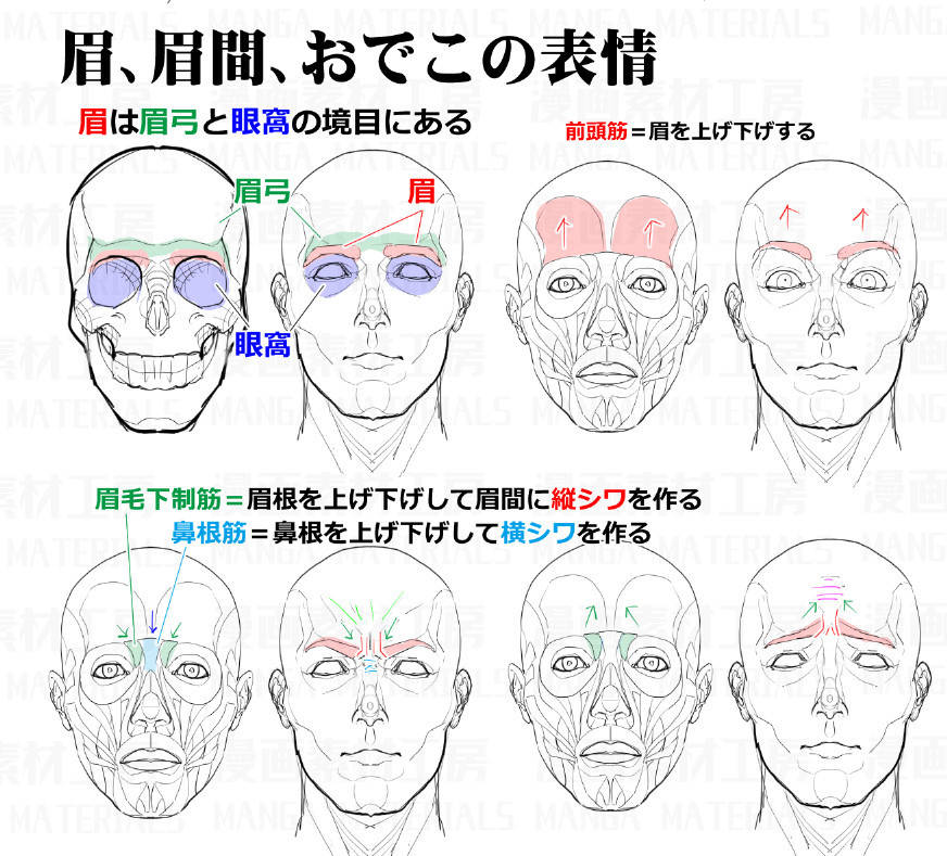 动漫脸部肌肉怎么画这组绘画素材示范很全面