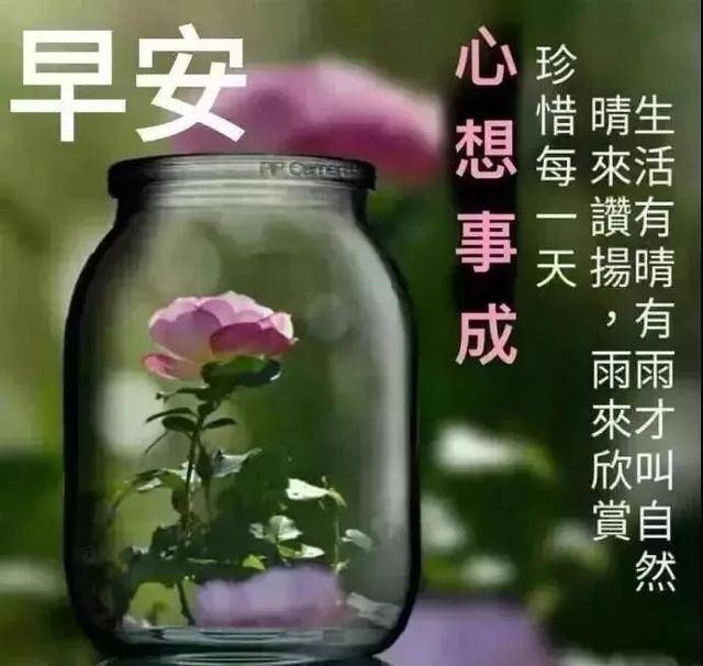 早上好祝福短信 朋友圈触动心灵的精辟哲理句子 祝福图片