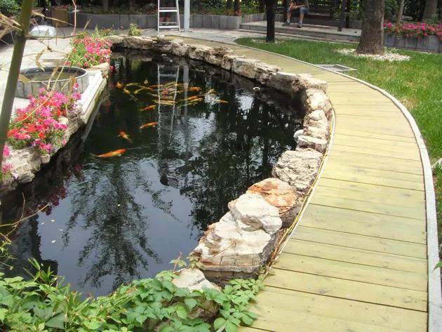 庭院锦鲤池,这意境也太美了吧,令人羡慕_鱼池