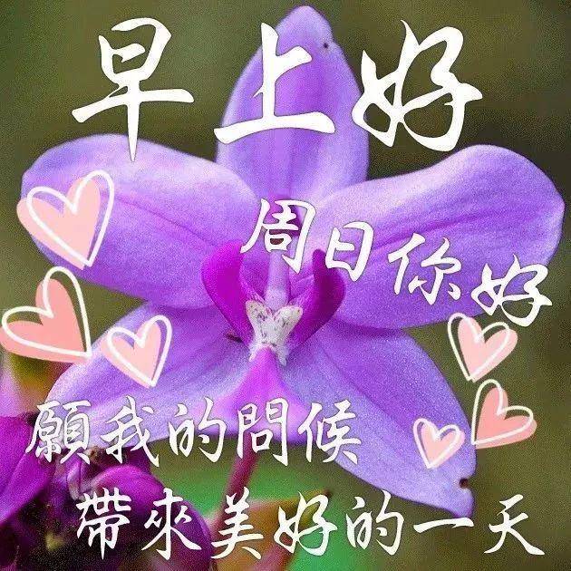 非常暖心的早安问候短信祝福语,早安漂亮图片问候祝福