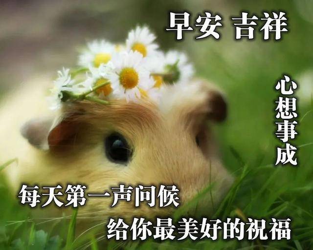 早安正能量唯美句子 清晨问候语句短句配图