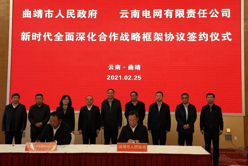 关部门主要负责同志,南方电网云南公司副总工程师段荣华以及相关部门
