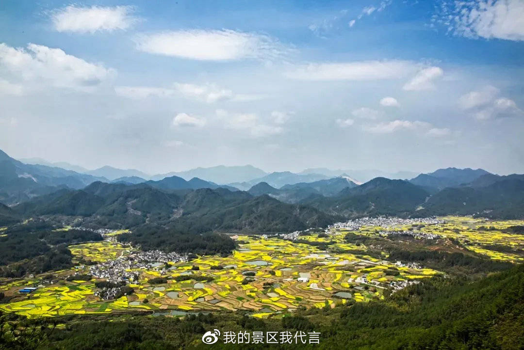 绩溪的春天是从油菜花绽放开始,花期预告请查收!