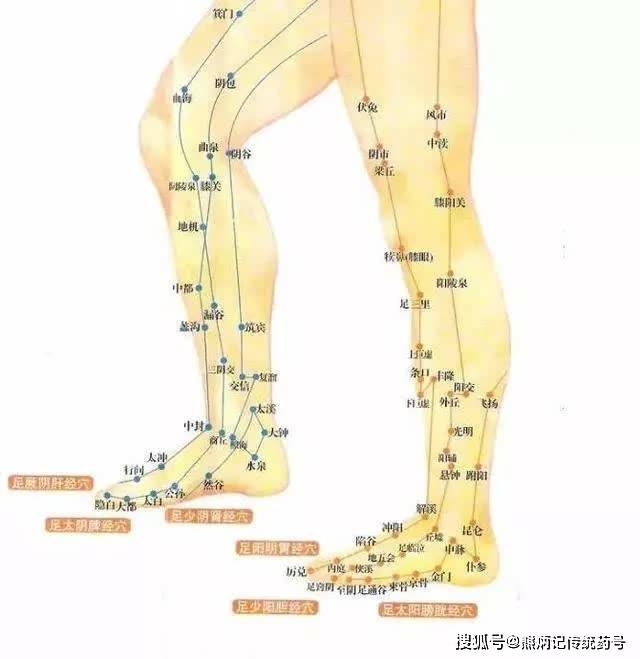 瘦手臂重点:腹 部推拿 三焦经,手臂内侧小肠经,腋下淋巴和腋后神经.