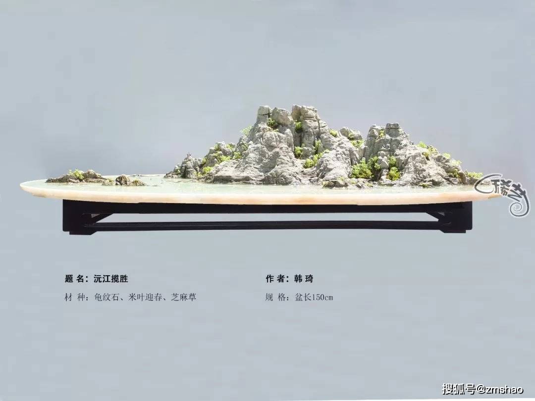 山水盆景的感悟与体会