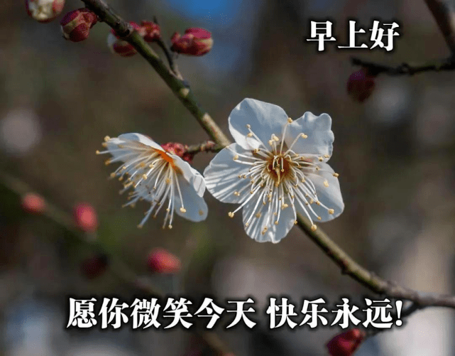 人生不易珍惜拥有感谢经历早上好祝福图片