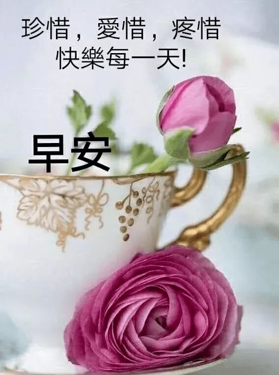 原创早上好问候语图片新的一天早上好祝福图片表情带鲜花