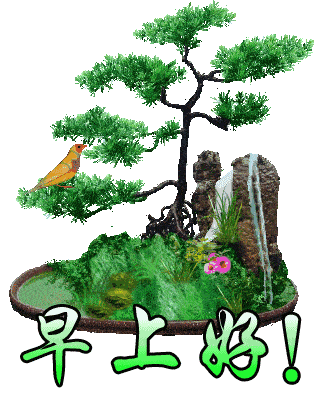 清晨超温馨的早安问候动态表情,早上好最暖心问候短语