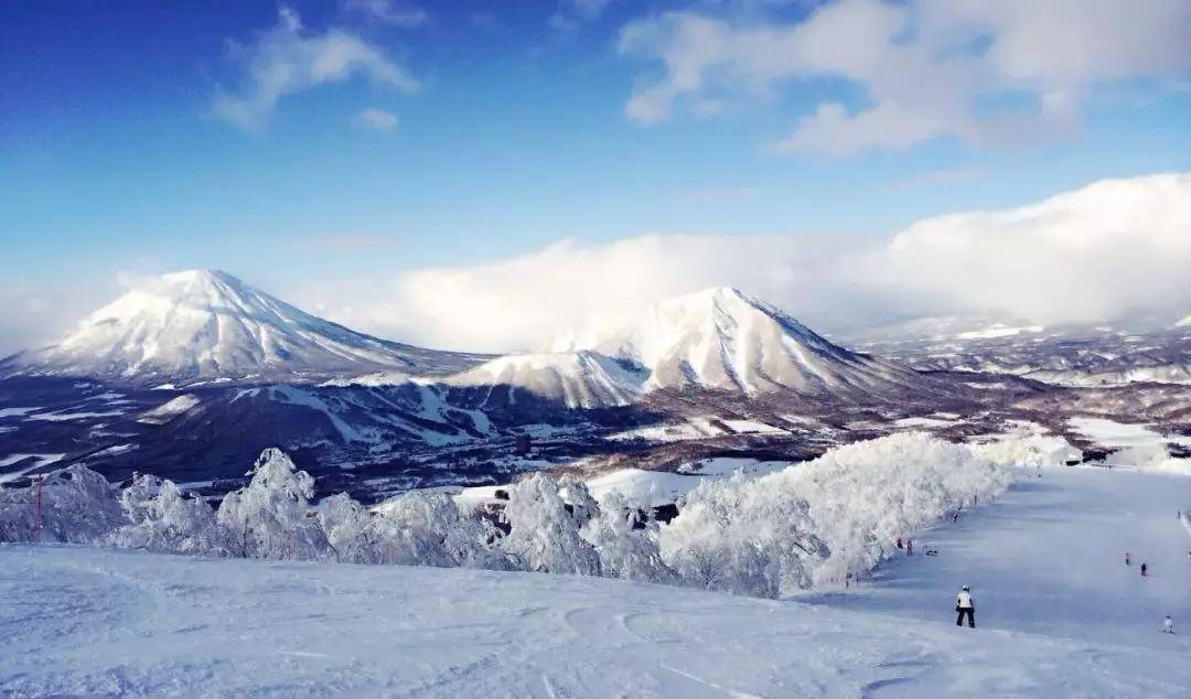 雪友详解留寿都度假村的滑雪场凭什么是北海道no.1?