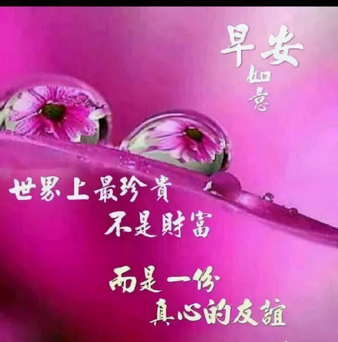 枫叶题诗,说一声祝福永久.早安祝福图片