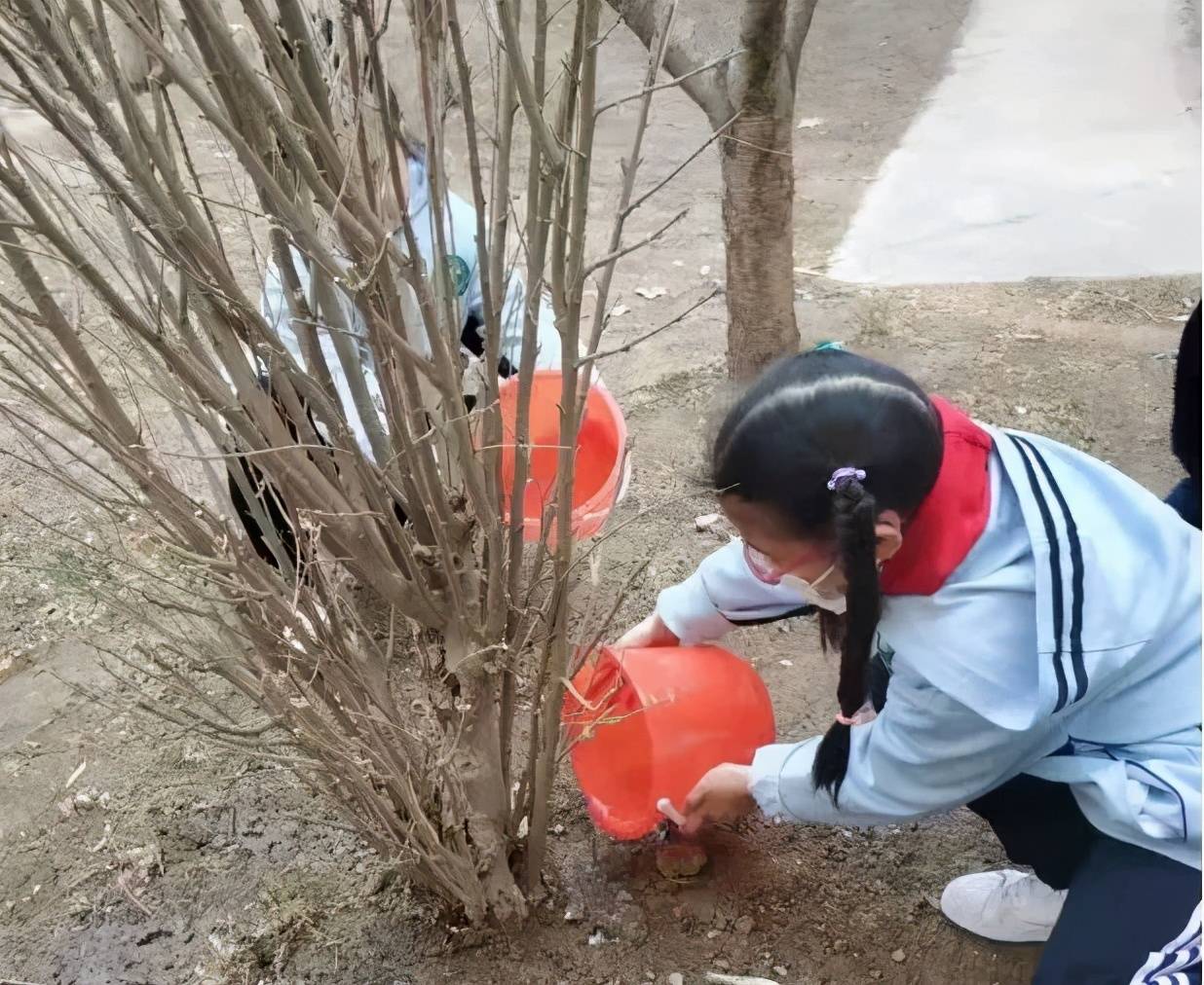 石家庄市裕东小学教育集团开展植树节实践活动