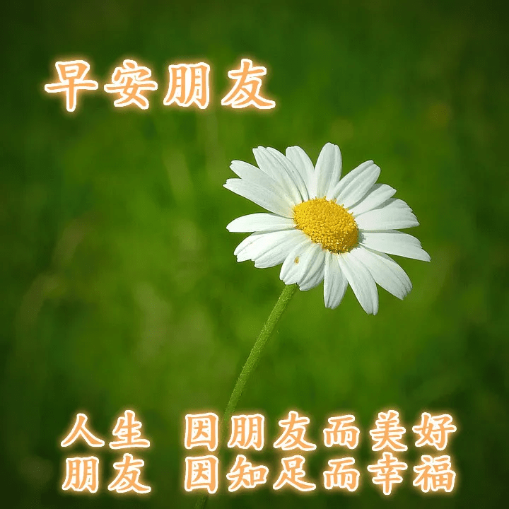 早上好,来个笑,早餐吃好身体好,精神饱满赚钞票,祝你事业芝麻开花