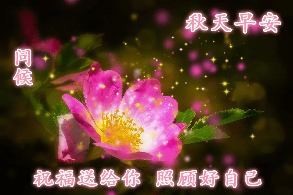 早晨发给朋友的问候语 早上好的表情问候语动态图片