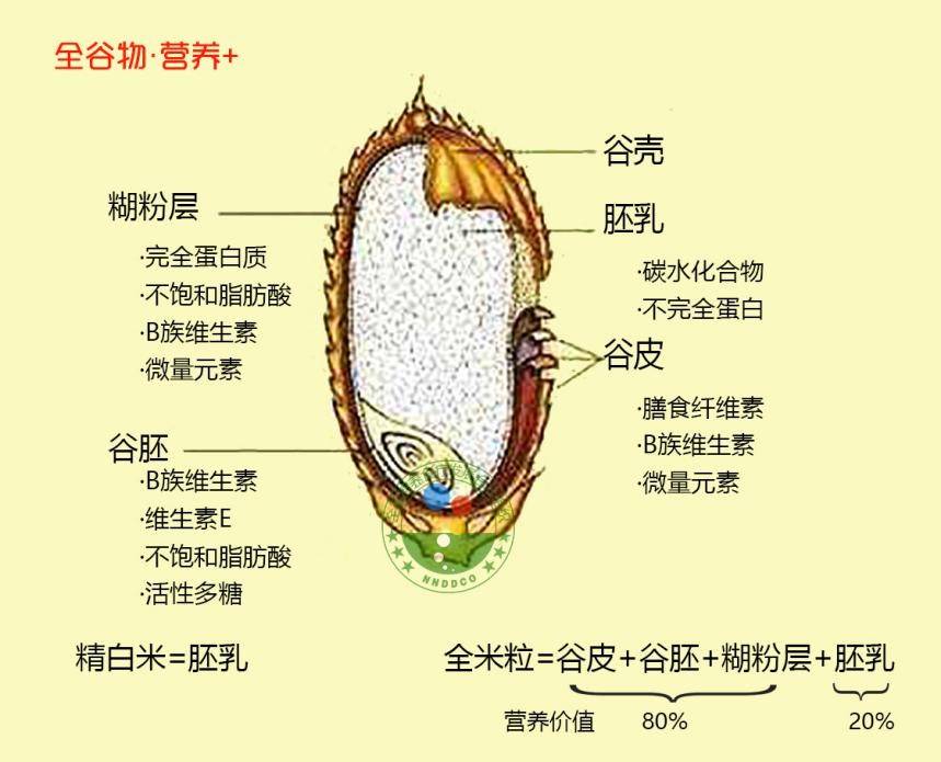 精白米糙米与蒸谷米的区别