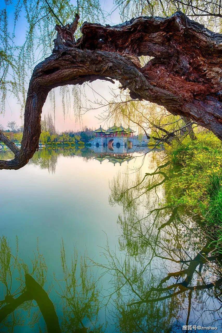 烟花三月,扬州与琼花