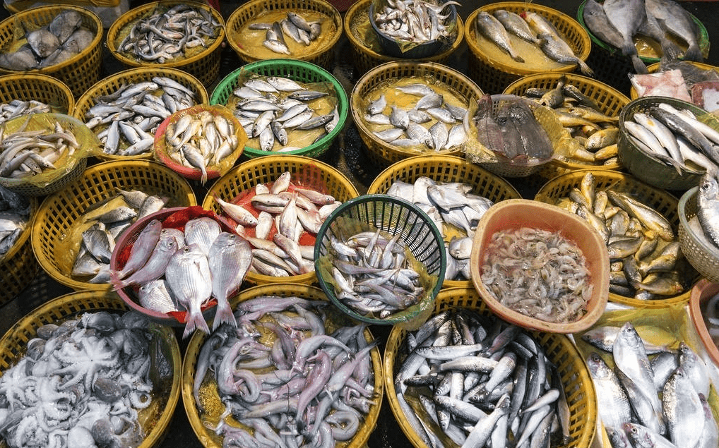 原创去市场买鱼专挑这6种野生鱼人工无法养殖卖鱼的都夸你是行家